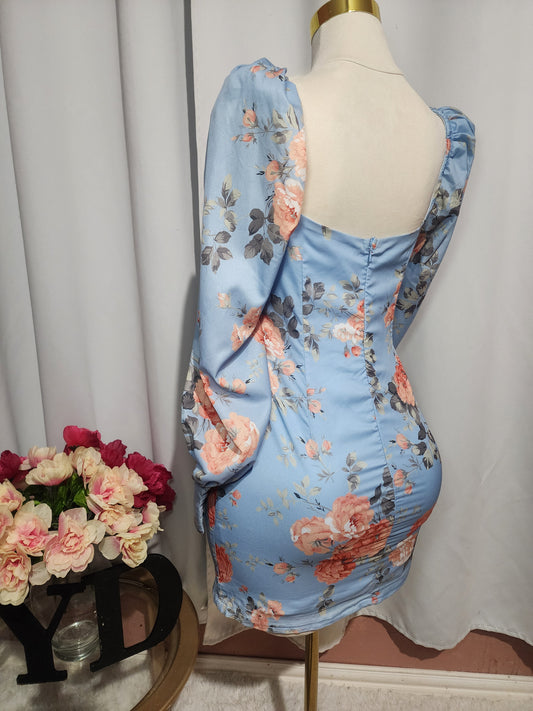 Party Dress Light Blue Floral Balloon Dress