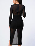 Party Dress Black V-Neck Ruched Mesh Long Sleeve Dress