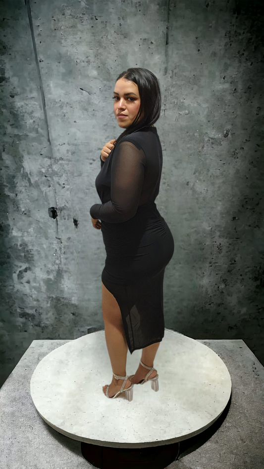 Black V-Neck Ruched Mesh Long Sleeve Dress